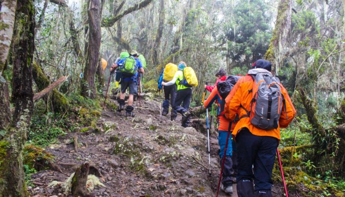 Marangu trekking