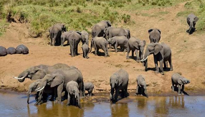 Tarangire-National-Park